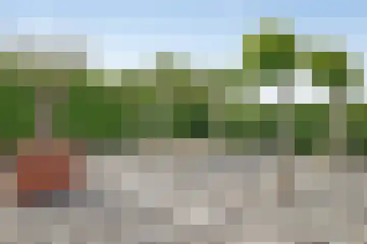 Stoofdijk 3 Steenbergen thumbnail 60