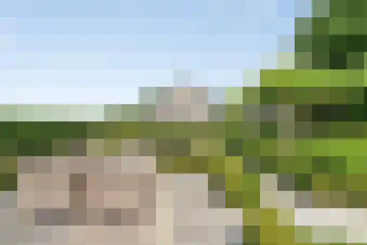 Stoofdijk 3 Steenbergen thumbnail 62