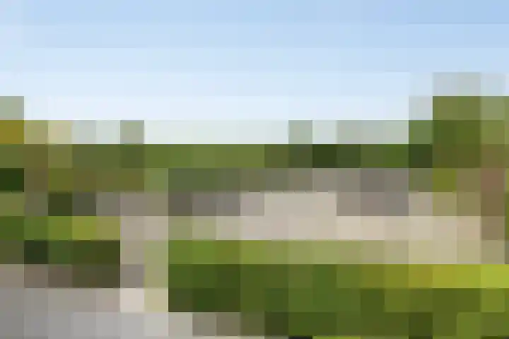 Stoofdijk 3 Steenbergen thumbnail 63