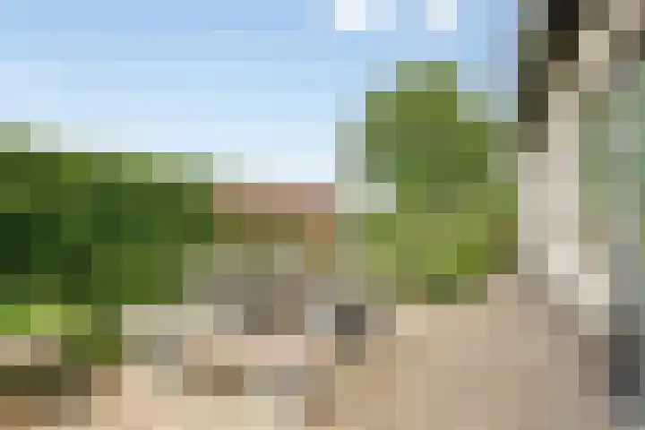Stoofdijk 3 Steenbergen thumbnail 65