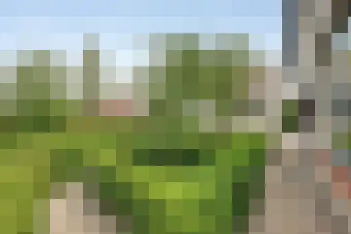 Stoofdijk 3 Steenbergen thumbnail 67