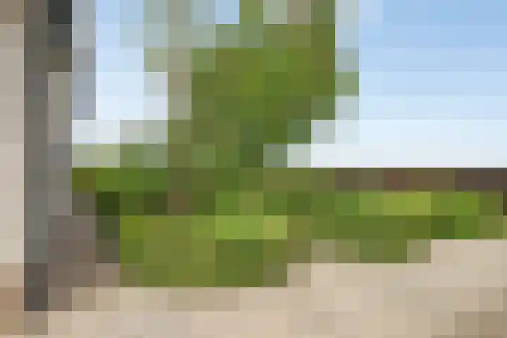 Stoofdijk 3 Steenbergen thumbnail 68