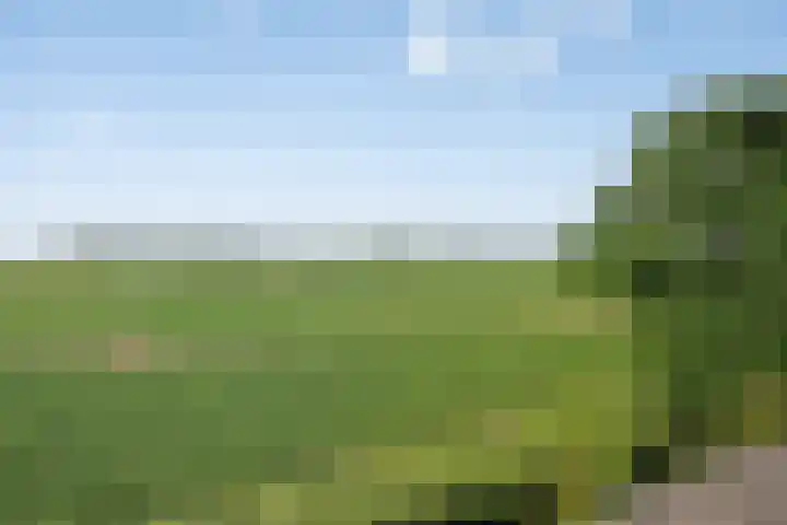 Stoofdijk 3 Steenbergen thumbnail 75