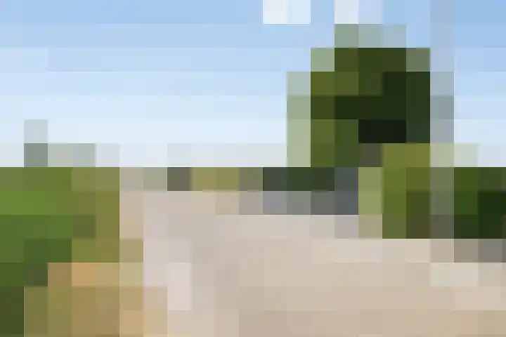 Stoofdijk 3 Steenbergen thumbnail 76