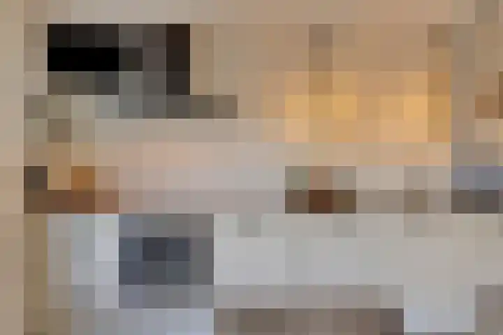 Stoofdijk 60 Dinteloord thumbnail 10