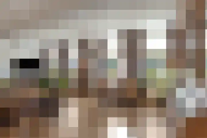 Stoofdijk 60 Dinteloord thumbnail 12