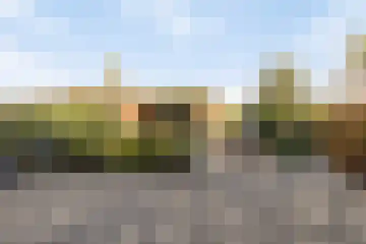 Stoofdijk 60 Dinteloord thumbnail 29