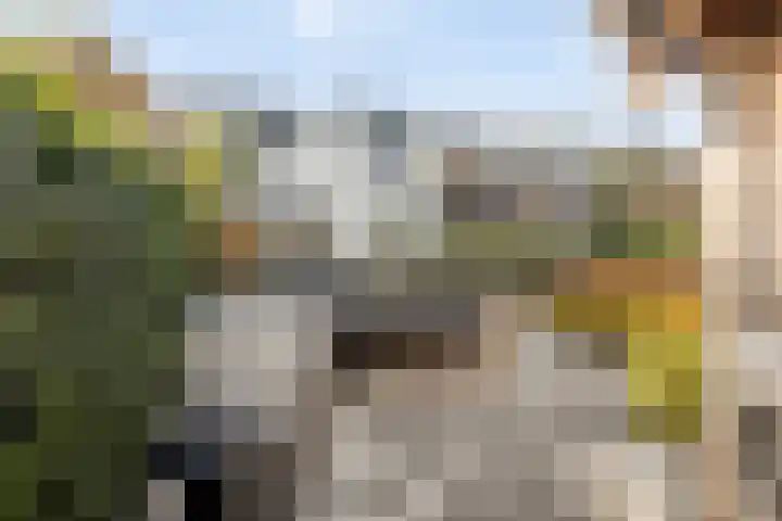 Stoofdijk 60 Dinteloord thumbnail 31