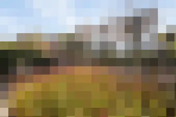 Stoofdijk 60 Dinteloord thumbnail 33