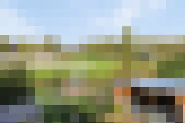 Stoofdijk 60 Dinteloord thumbnail 37