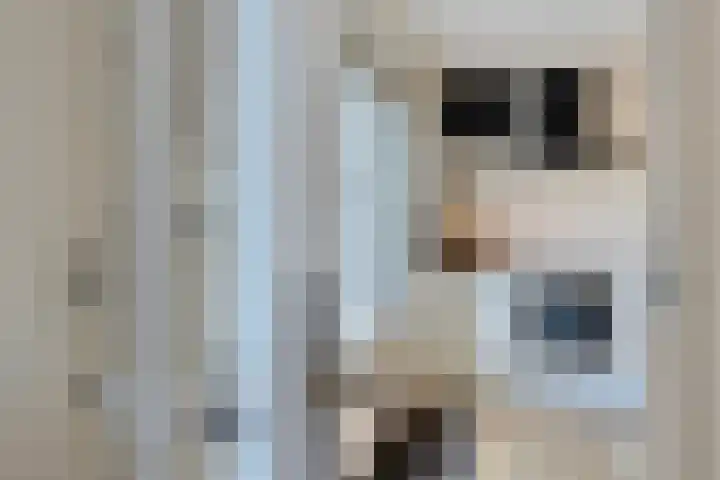 Stoofdijk 60 Dinteloord thumbnail 7