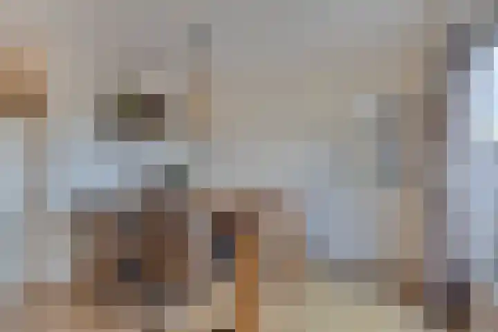Stoofdijk 60 Dinteloord thumbnail 9