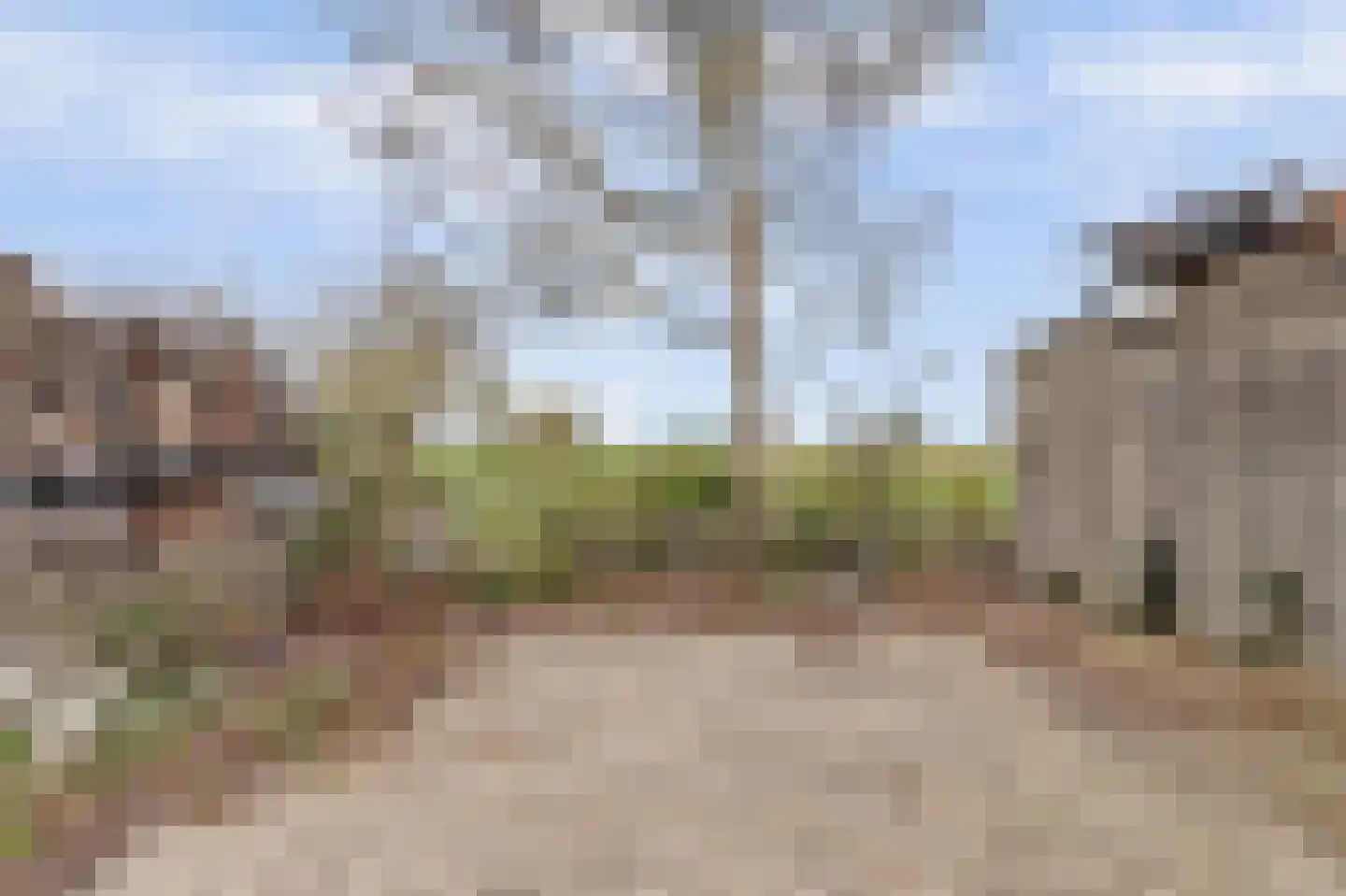Stoofdijk 79 Stavenisse thumbnail 24