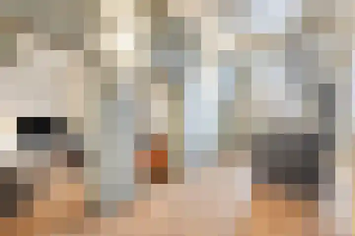 Stoofstraat 5 Tholen thumbnail 15