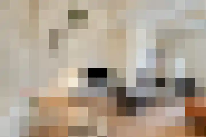 Stoofstraat 5 Tholen thumbnail 16
