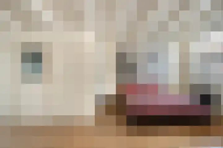 Stoofstraat 5 Tholen thumbnail 30