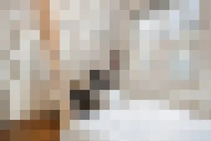 Stoofstraat 5 Tholen thumbnail 42