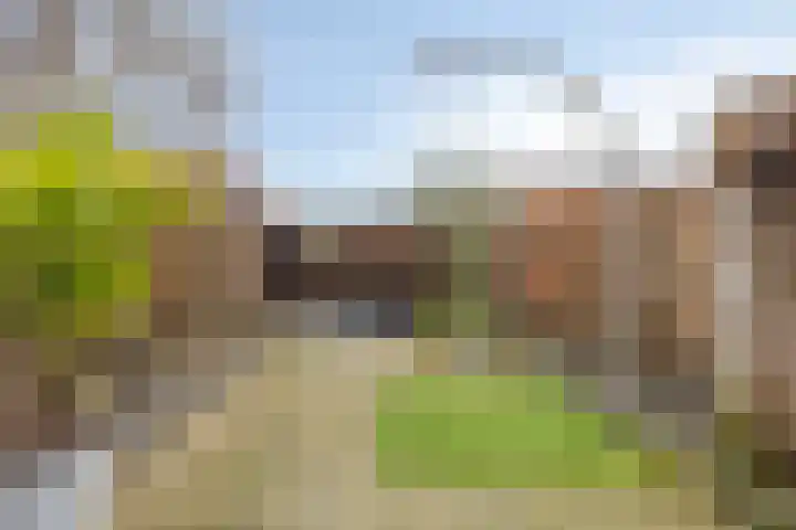 Stoofstraat 5 Tholen thumbnail 60