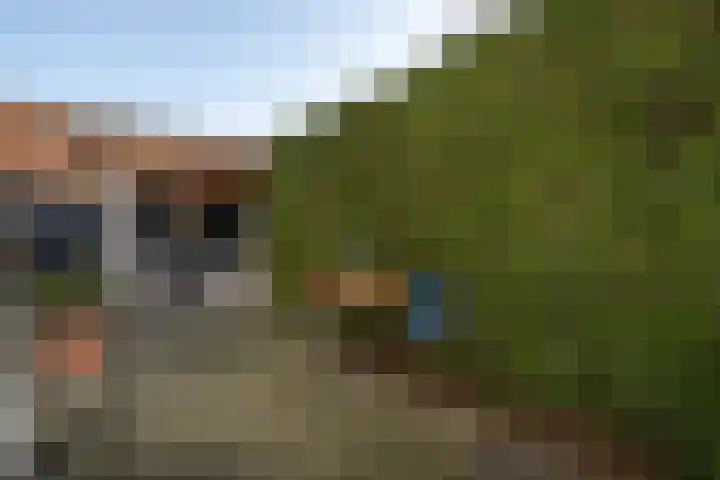 Stoofweg 11 Herkingen thumbnail 27