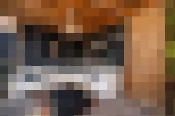 Stoofweg 11 Herkingen thumbnail 28