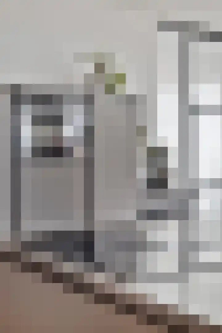 Stoomstraat 283 Eindhoven thumbnail 18