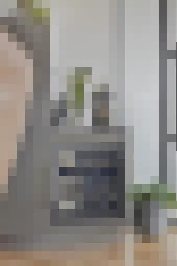 Stoomstraat 283 Eindhoven thumbnail 19
