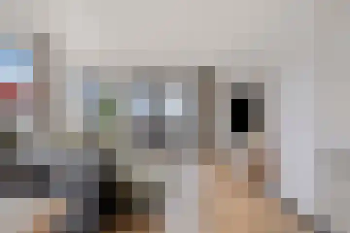 Stoomstraat 283 Eindhoven thumbnail 27