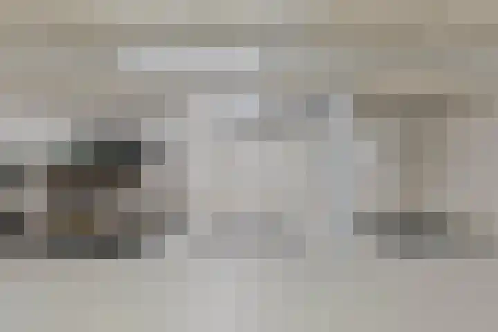 Stoomstraat 283 Eindhoven thumbnail 39