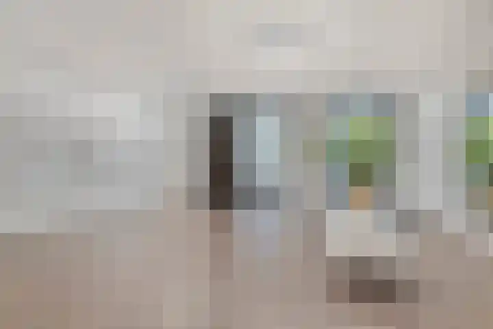 Stoomstraat 283 Eindhoven thumbnail 4