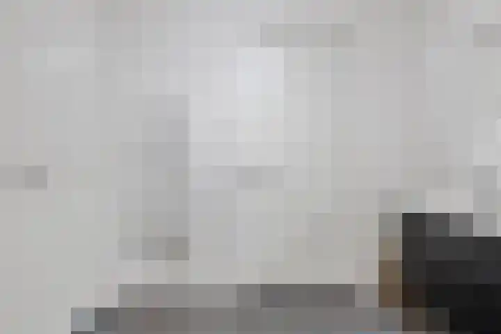 Stoomstraat 283 Eindhoven thumbnail 8