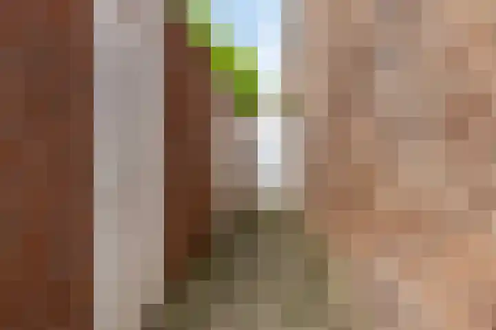 Stoopstraat 1 e Roosendaal thumbnail 19