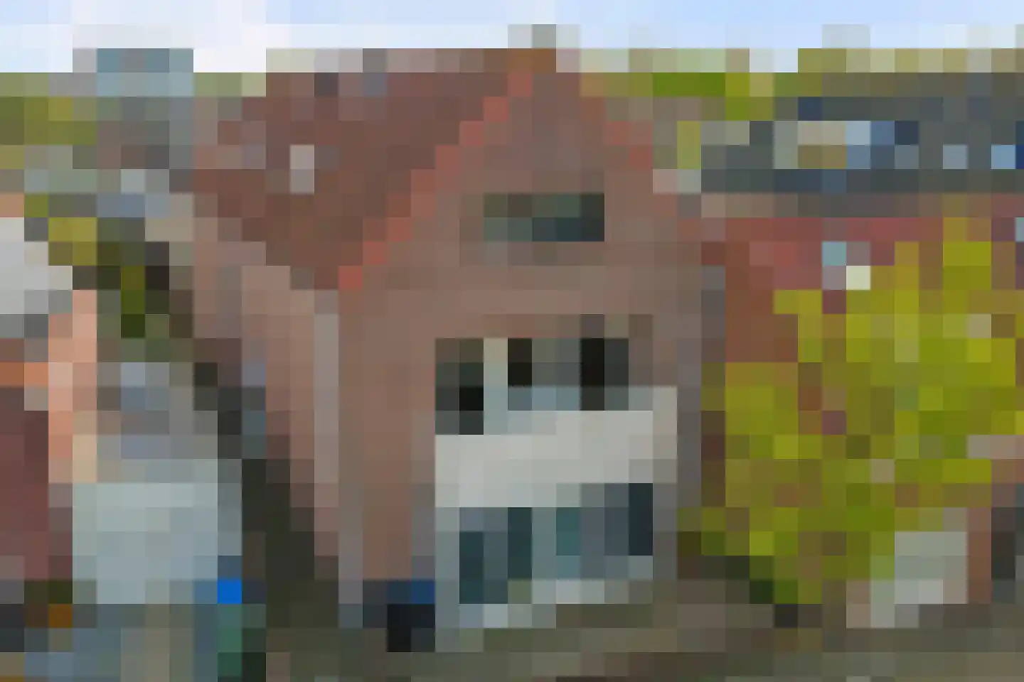 Stoopstraat 6 d Roosendaal