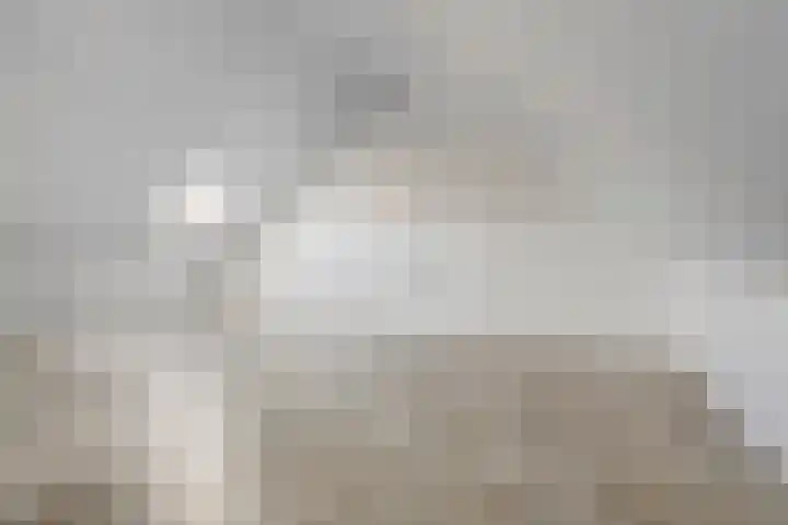 Stormbaan 5 Eefde thumbnail 25
