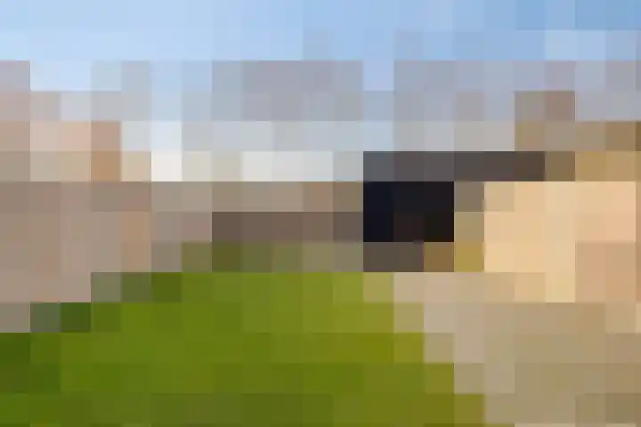 Stormbaan 5 Eefde thumbnail 28