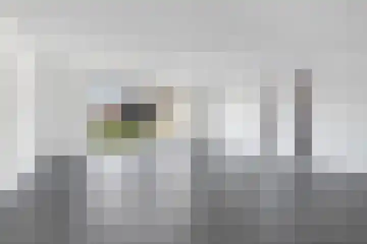 Stormbaan 5 Eefde thumbnail 7