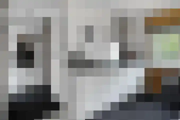 Stormbos 14 Zorgvlied thumbnail 10