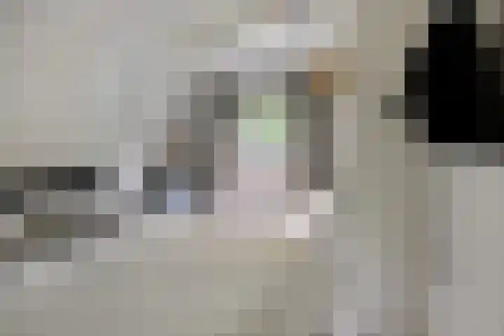 Stormbos 14 Zorgvlied thumbnail 14