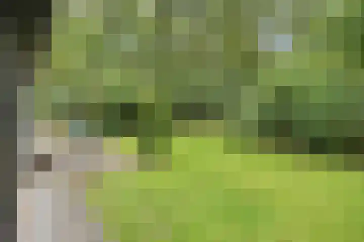 Stormbos 14 Zorgvlied thumbnail 20