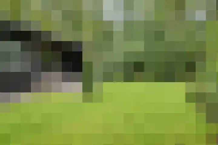 Stormbos 14 Zorgvlied thumbnail 21