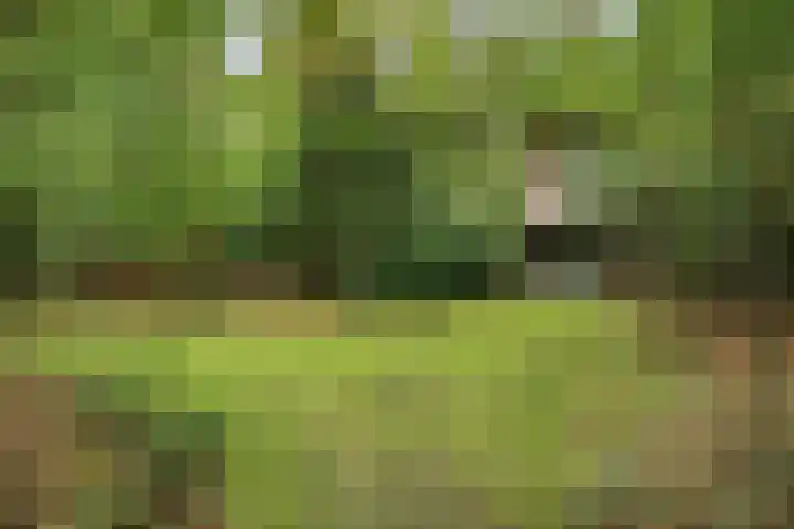 Stormbos 14 Zorgvlied thumbnail 22