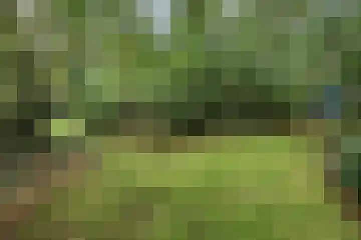 Stormbos 14 Zorgvlied thumbnail 23