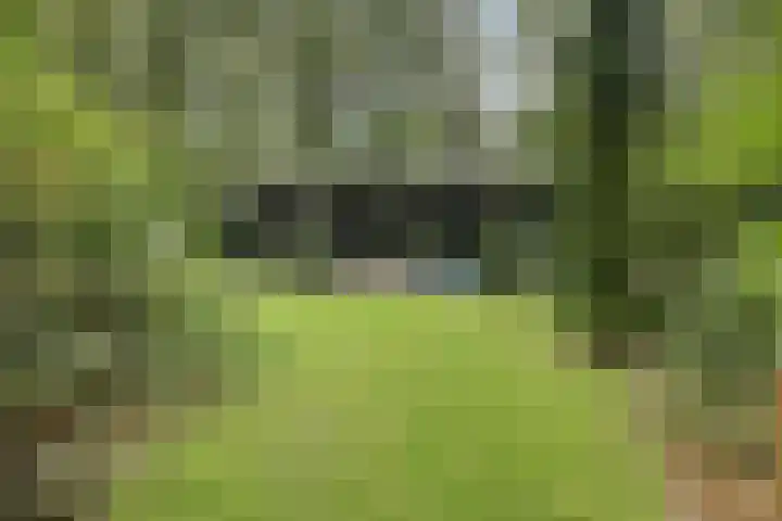 Stormbos 14 Zorgvlied thumbnail 25