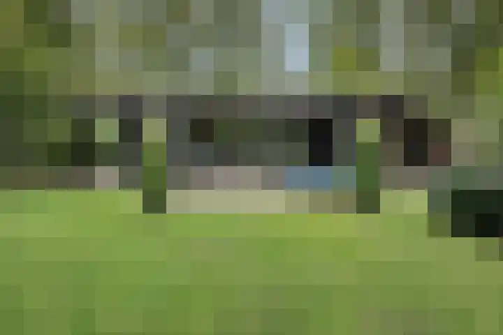 Stormbos 14 Zorgvlied thumbnail 27