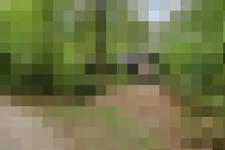 Stormbos 14 Zorgvlied thumbnail 31