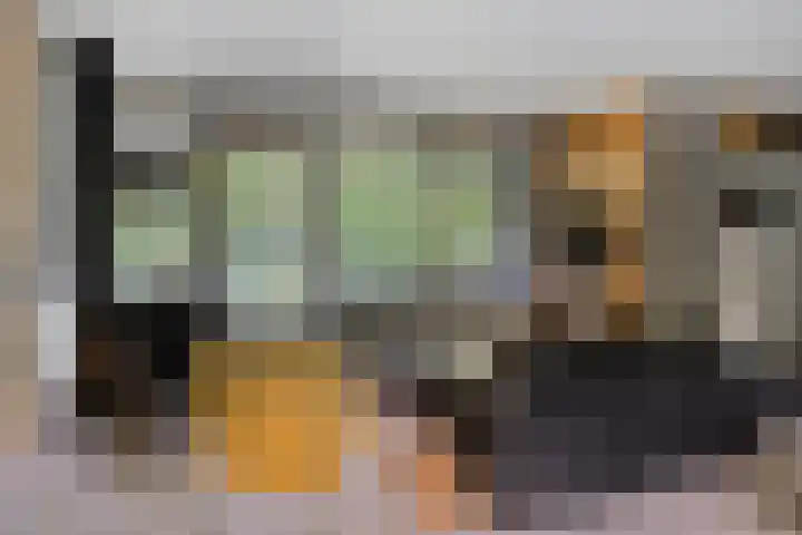 Stormbos 14 Zorgvlied thumbnail 8