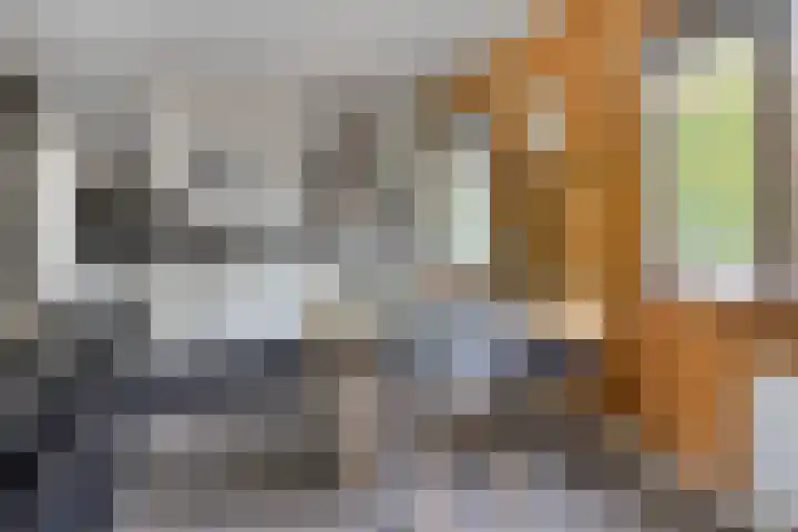 Stormbos 14 Zorgvlied thumbnail 9