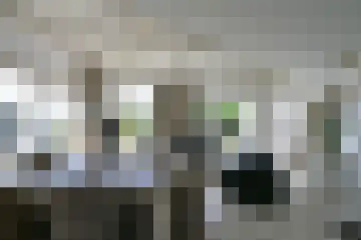 Stormvogel 16 Zoutelande thumbnail 10