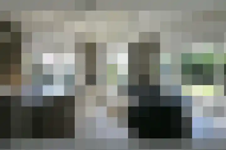 Stormvogel 16 Zoutelande thumbnail 11