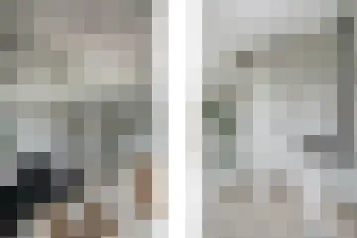 Stormvogel 16 Zoutelande thumbnail 15