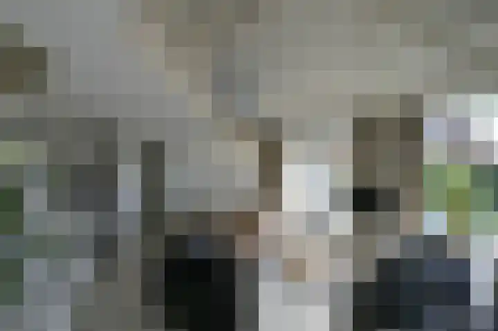 Stormvogel 16 Zoutelande thumbnail 16